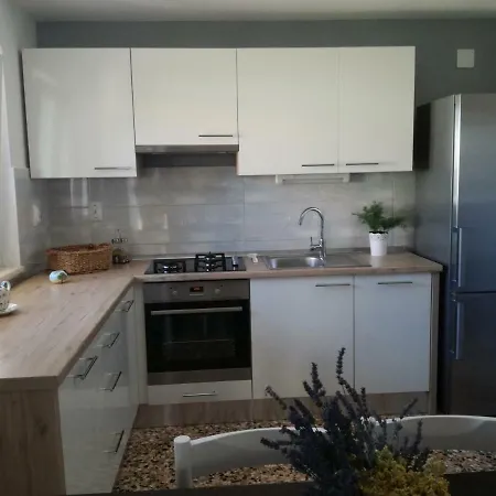 Apartman Ileana
